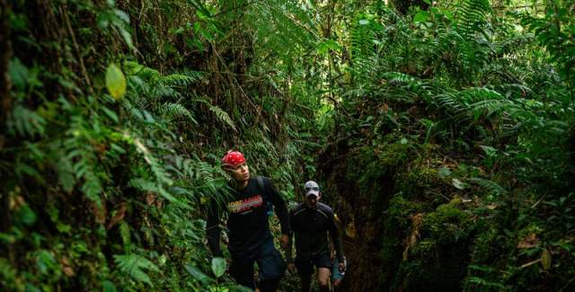 Hikers trekking through the dense rainforest of El Pianista Trail