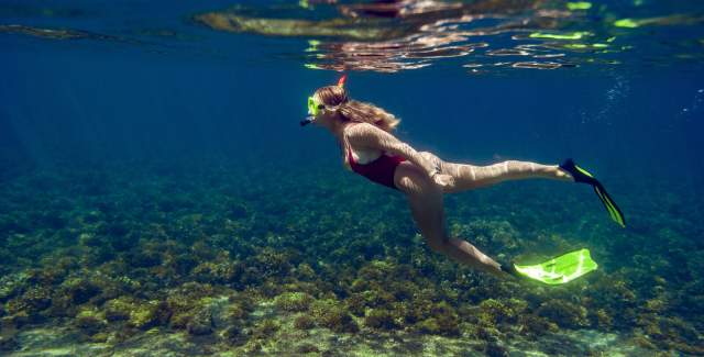 Snorkeling in blue water, with beautiful Caribbean reef at Gulf of Chiriqui