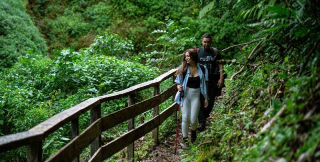 Two hikers walking on a wood bridge on a beautiful cloud forest
