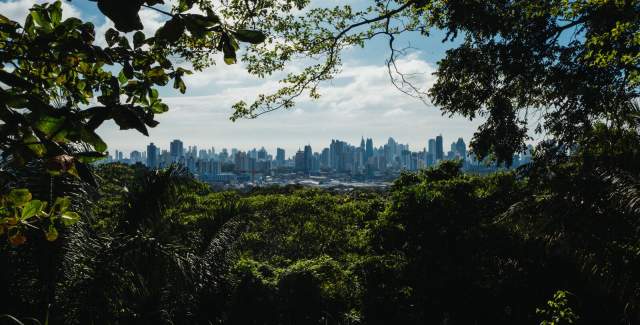 Parque Natural Metropolitano