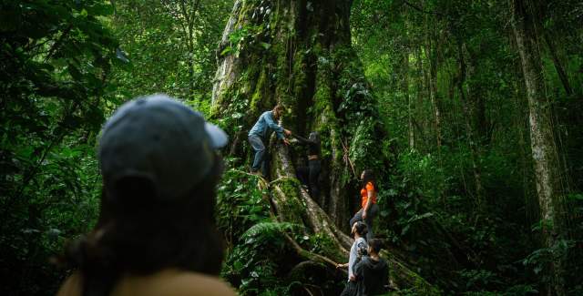 Pipe Line Trail , Bajo Mono, Boquete, Chiriquí Province