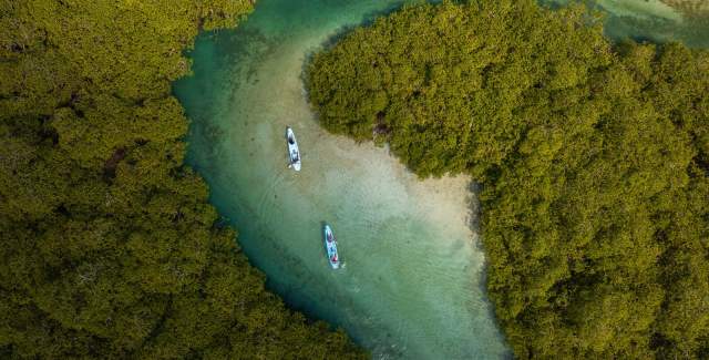 Two friends or partners, paddling in unison in their canoe, traversing the water.