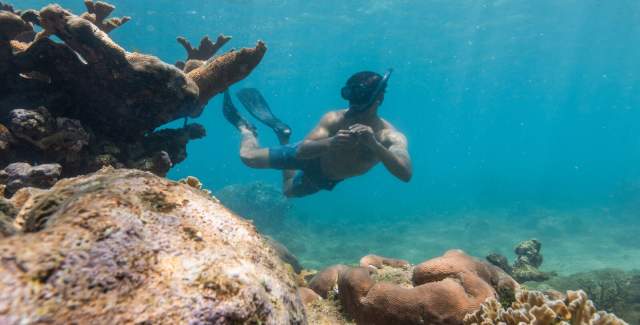 A man swim near coral reef with snorkel props