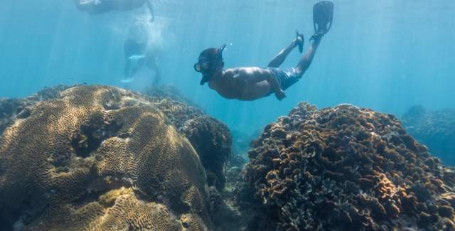 Buceo & Snorkeling