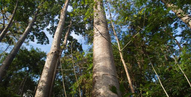 Cerro hoya, senderismo