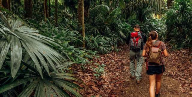 Senderismo Hiking Gamboa