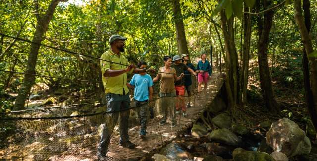 A group hiking on the square tree trail, El Valle de Antón
