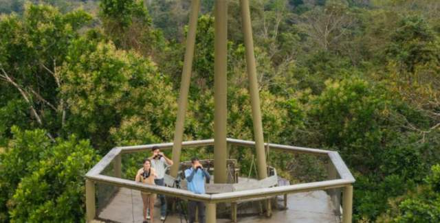 Copy of Copy of Gamboa Rainforest Reserve,Tower Birdwatching