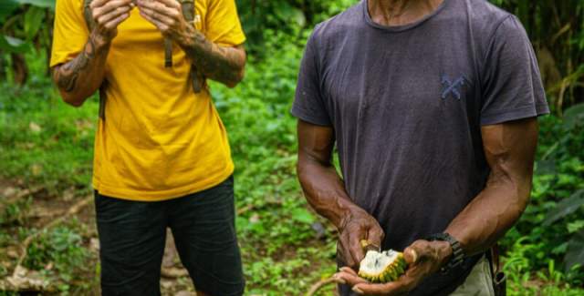 Copy of Cacao Bocas del Toro