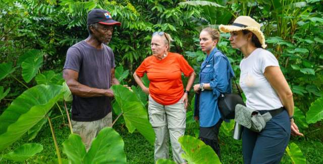 Cacao Bocas del Toro