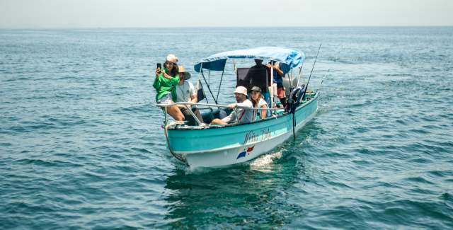 Avistamiento de Ballenas