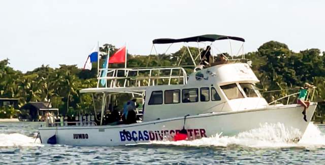 Buceo Bocas del Toro