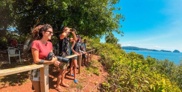 A cluster of individuals, each holding cameras, are venturing along a beach.