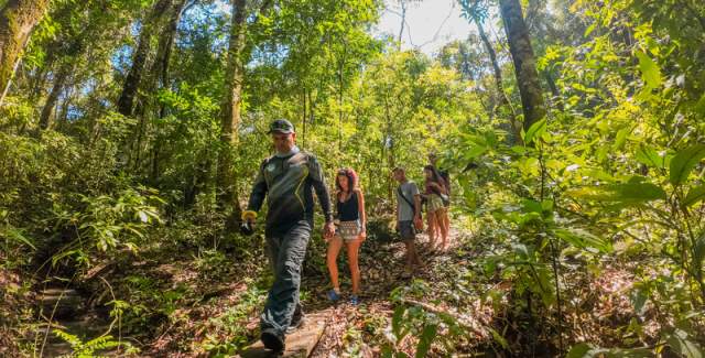A gathering of individuals with cameras, wandering and discovering the beach.
