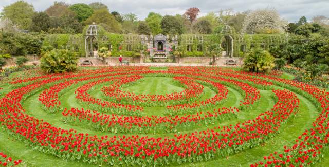 Arundel Castle Tulip Festival