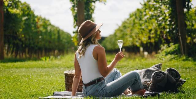 Picnic in the vines - Tinwood