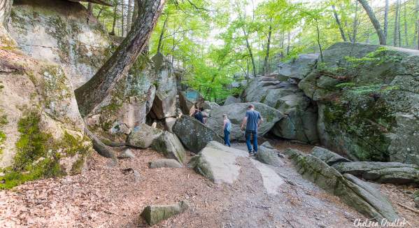 You Won't Believe These Hikes Exist in Central Mass.