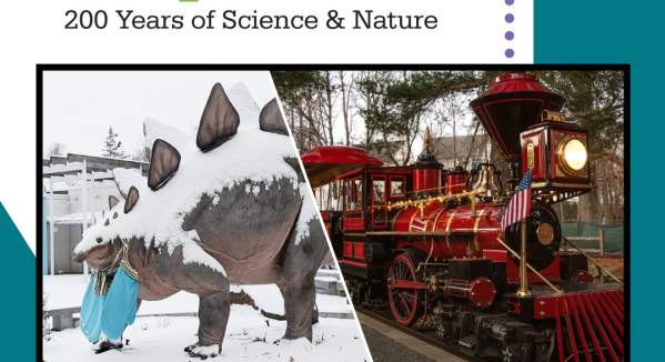 Frosty Festival 2025