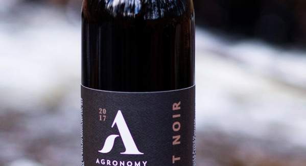 Agronomy Farm Vineyard