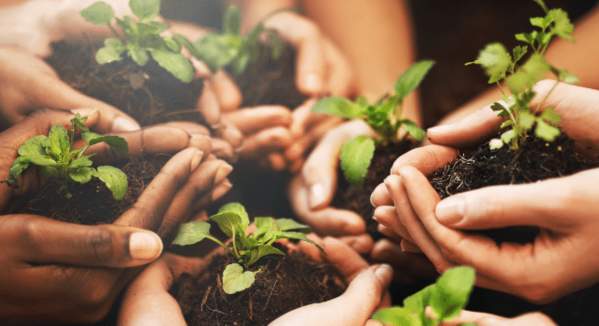 Earth Day nature walk program “BioBlitz: A Field Meeting of the Natural History Society”