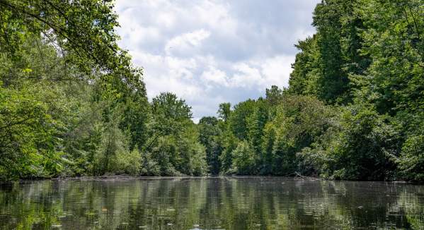 EcoTarium's Naturalist Program