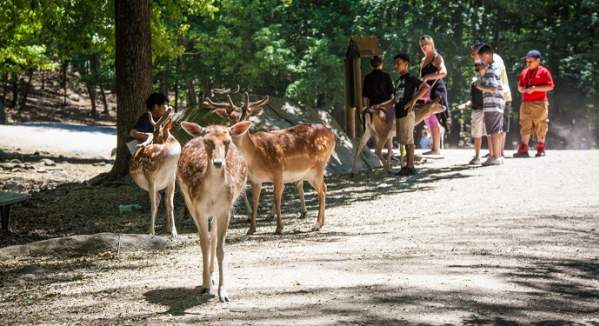 Southwick's Zoo