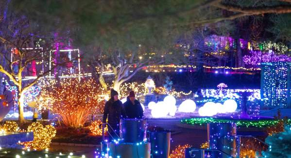 Night Lights: Dazzling Gardens