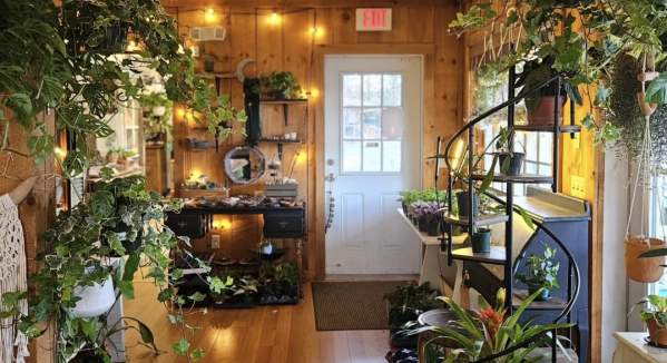 The Painted Stone Emporium