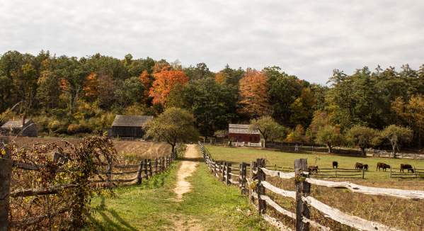 Agriculture Fair Weekend