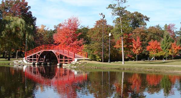 Elm Park
