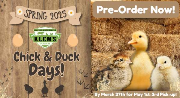 Chick & Duck Days at Klem's (Pre-Order By March 27th)