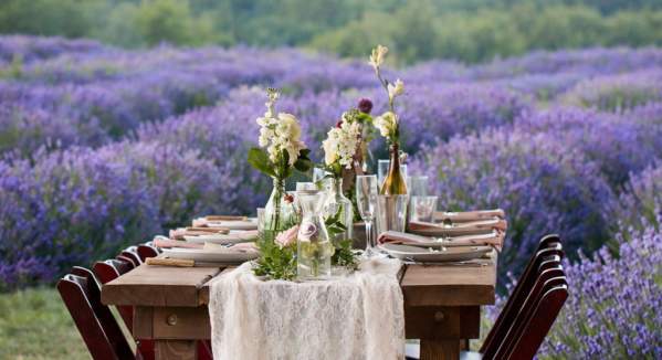 Taste of Lavender Luncheon and Tea Among The Blooms