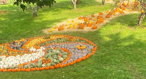 Bemis Farms Nursery