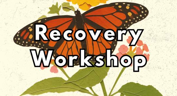 Lego Recovery Workshop