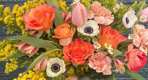 Savannah Pannell Flourish Flowers