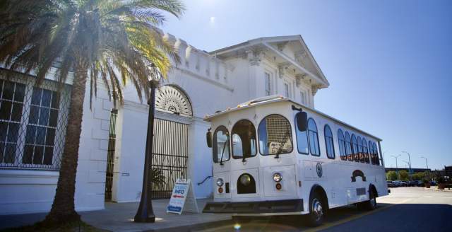 tour bus parked in front of building with palm trees outside