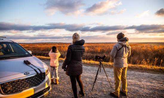 birding alligator river family winter sunset