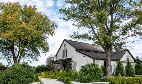 Hidden Distilleries & Craft Spirits You Can Visit in Bardstown