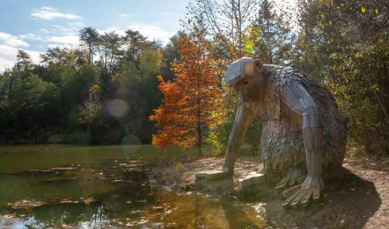 Bernheim Forest and Arboretum