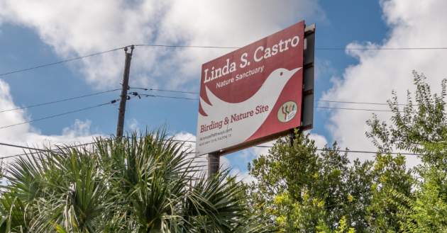Linda Castro Entrance
