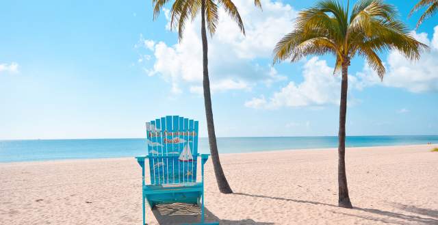 beach chair & palm tree