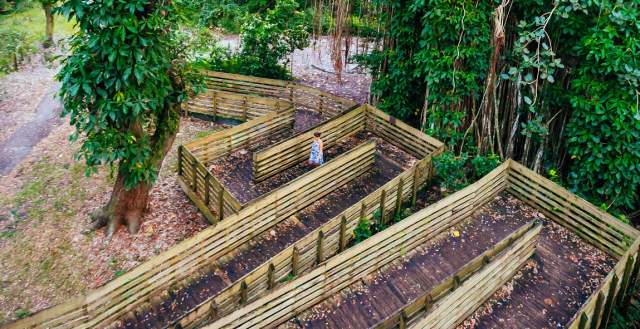 Woman walking down wooden descending pathway in the trees