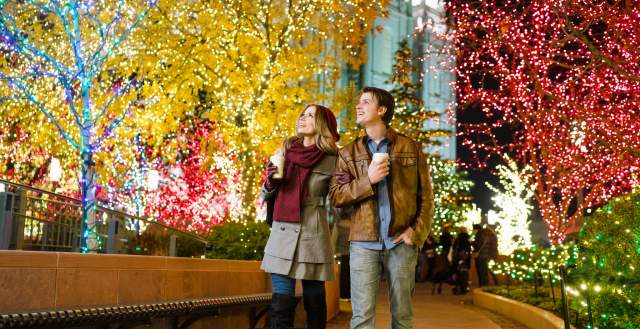 See the Temple Square Lights in downtown Salt Lake