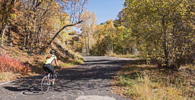 Biking Up City Creek Canyon