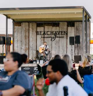 Your Ultimate Summer Live Music Guide in Clarksville