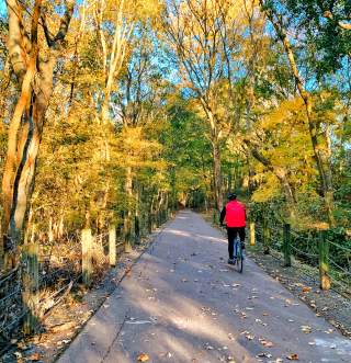 The Ultimate Fall Travel Bucket List in Clarksville, TN
