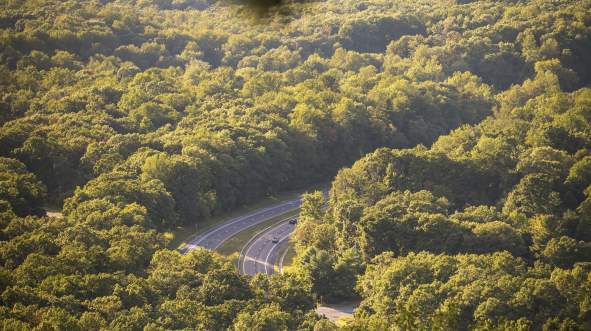 Summer Solstice: Your Perfect Longest Day in Loudoun