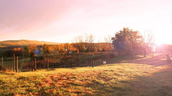 50 west autumn