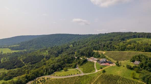Aerial of Bluemont Vineyard's tasting room and vine rows set against the forested Blue Ridge hills in Bluemont, Virginia