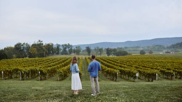 Couple standing at the entrance of grapevine rows at Breaux Vineyards in Purcellville Virginia